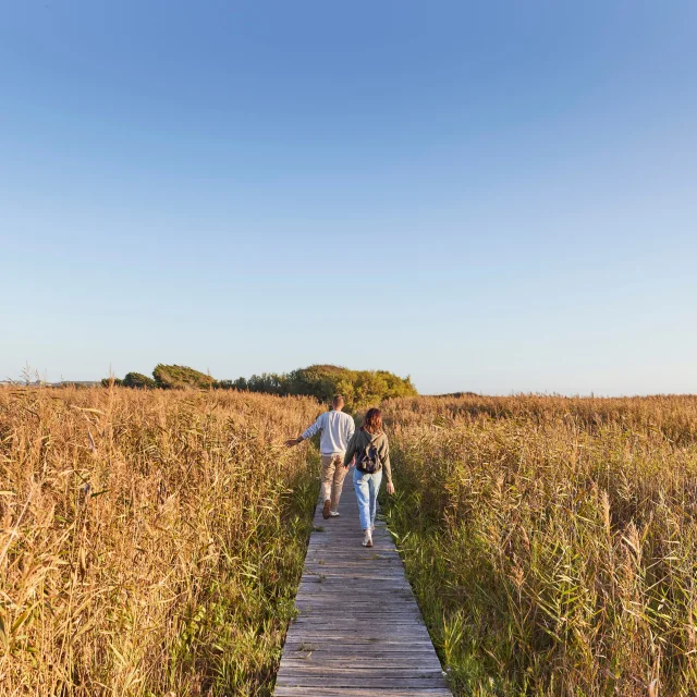 une balade à l'etang de Tunvel