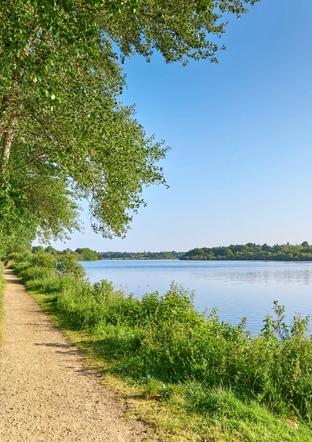 Etang du Moulin Neuf - Ploneour Lanvern