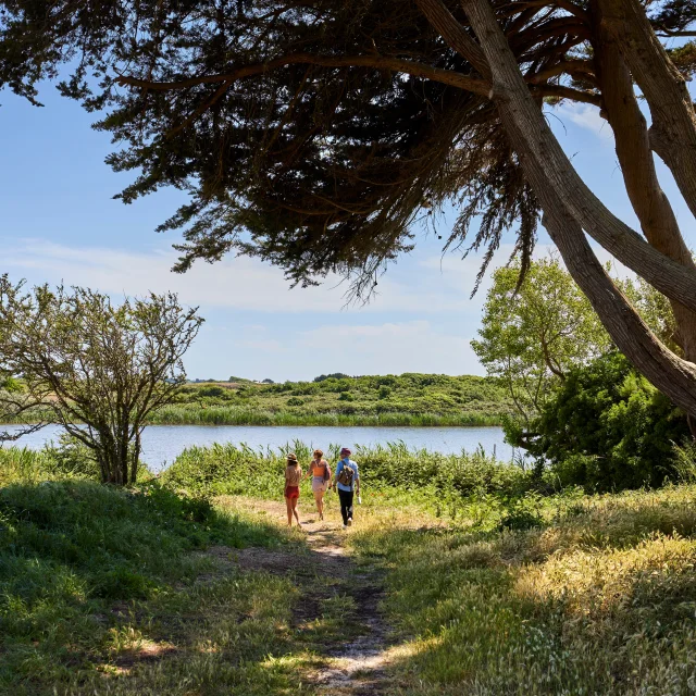 Balade Nature à Tréguennec