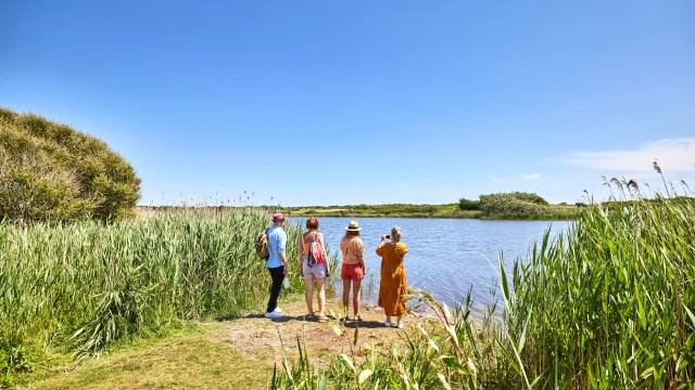 Balade nature - Tréguennec