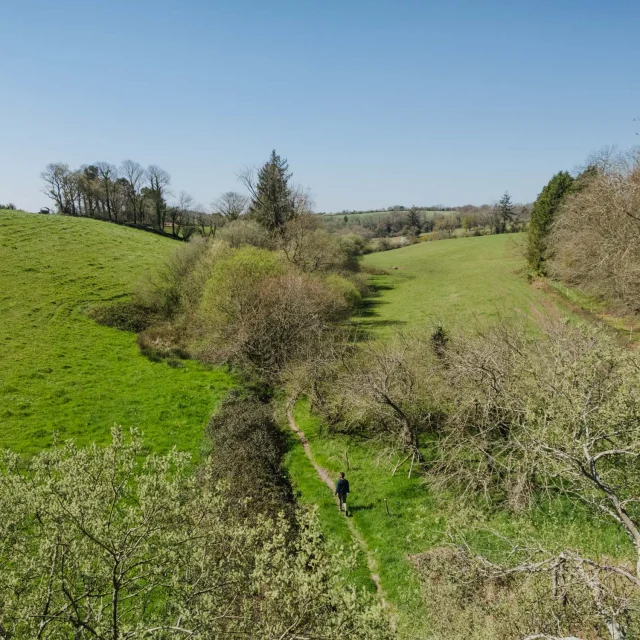Chemin de randonnée - Gourlizon