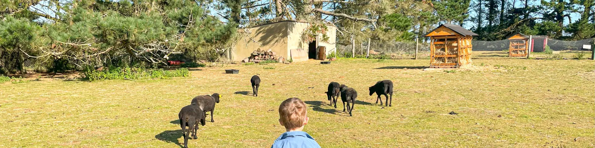 Parque animal de la Pommeraie - Peumerit