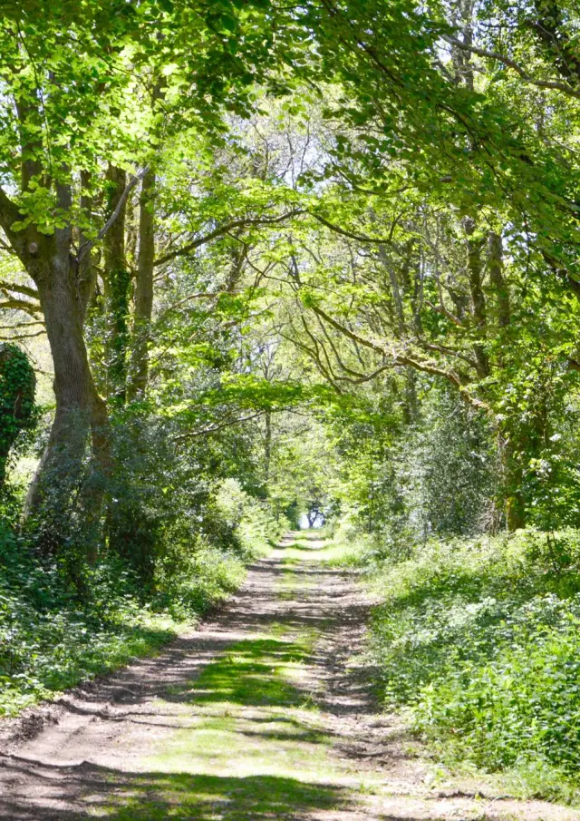 The Stang Vraz loop - Guiler-sur-Goyen