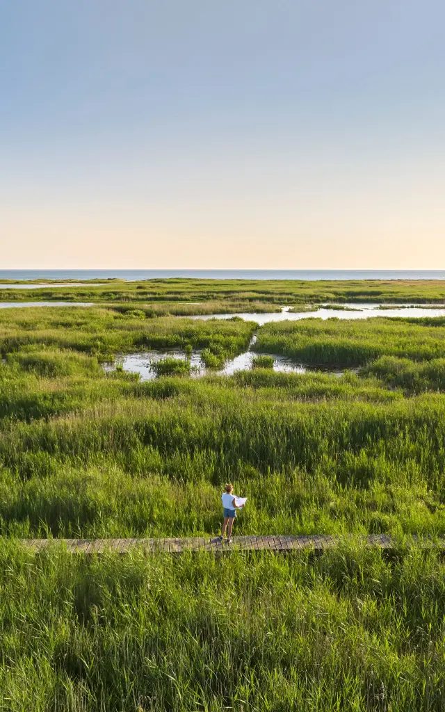Etang de Trunvel - Tréogat