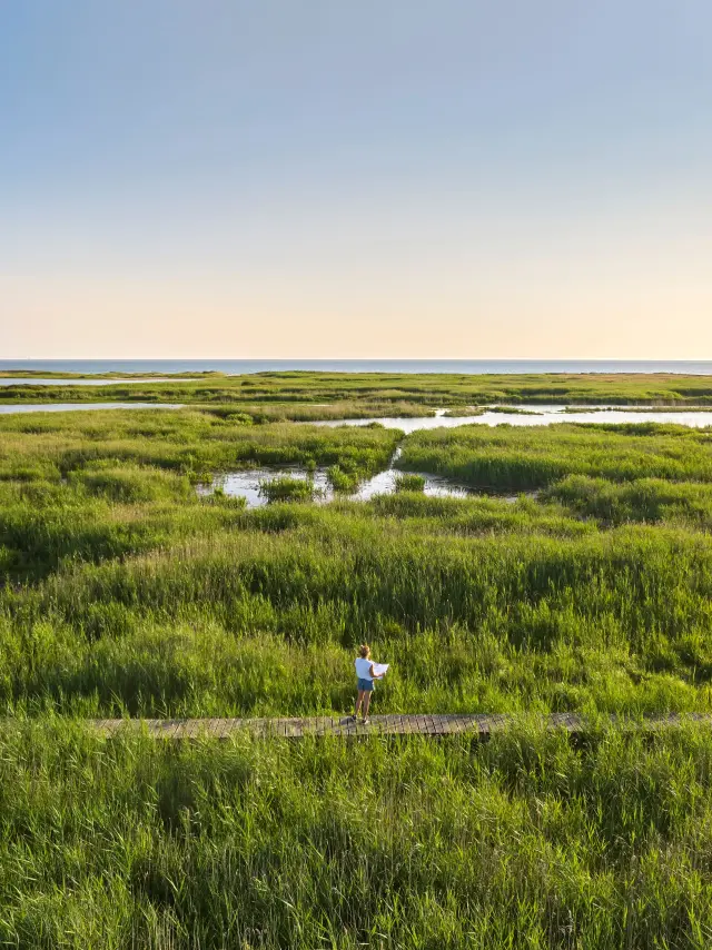 Stagno di Trunvel - Tréogat