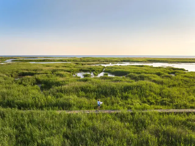 Vijver van Trunvel - Tréogat