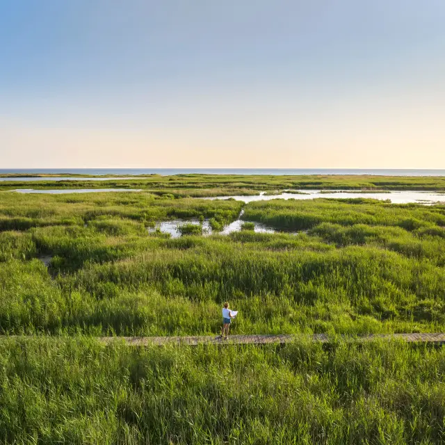 Etang de Trunvel - Tréogat