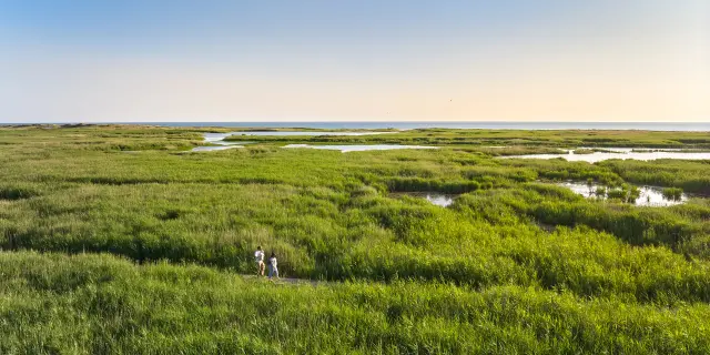 Teich von Trunvel - Tréogat