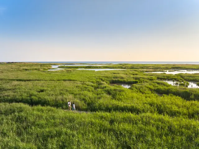Etang de Trunvel - Tréogat