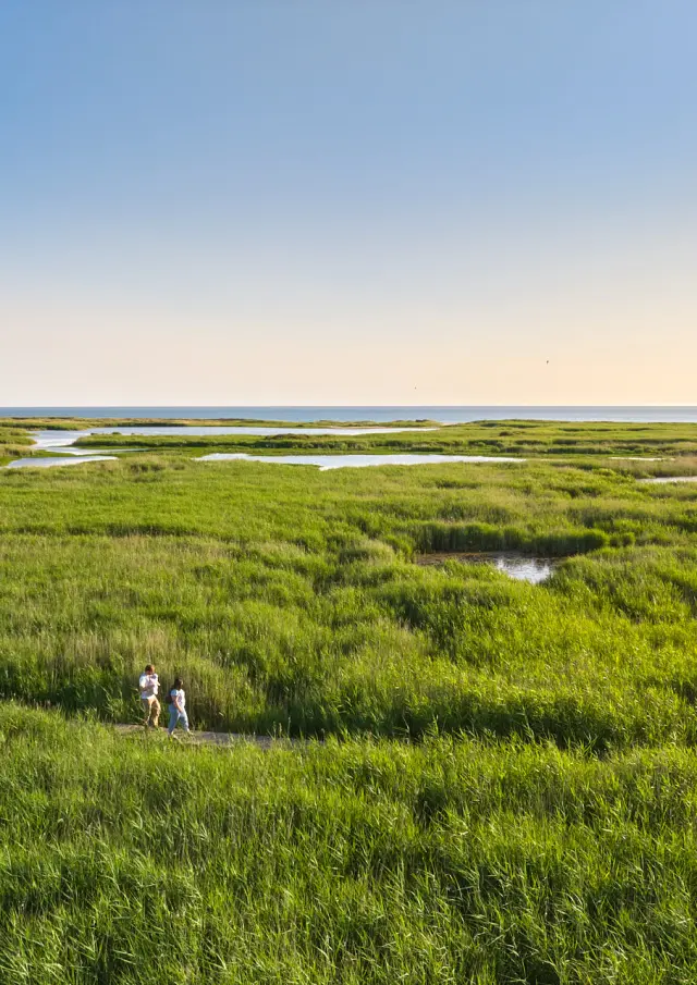 Etang de Trunvel - Tréogat
