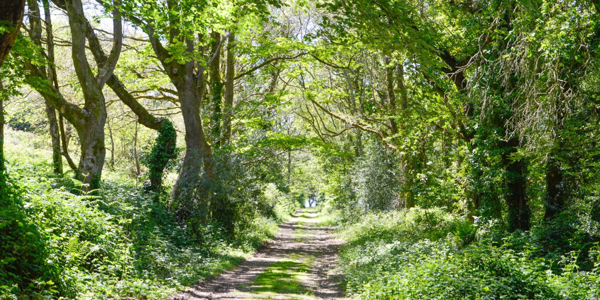 Boucle De Stang Vraz - Guiler-sur-Goyen