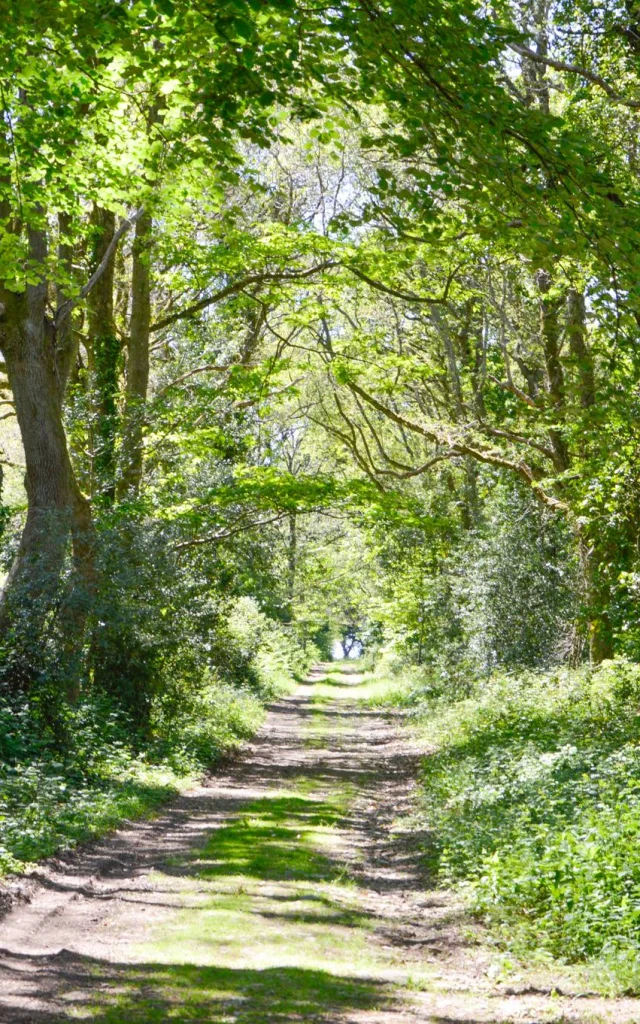 Boucle De Stang Vraz - Guiler-sur-Goyen
