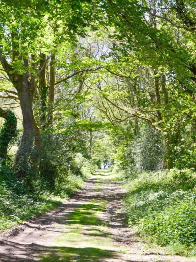 Boucle De Stang Vraz - Guiler-sur-Goyen