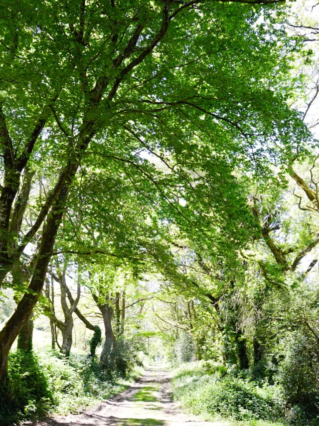 Boucle de Stang Vraz - Guiler-sur-Goyen