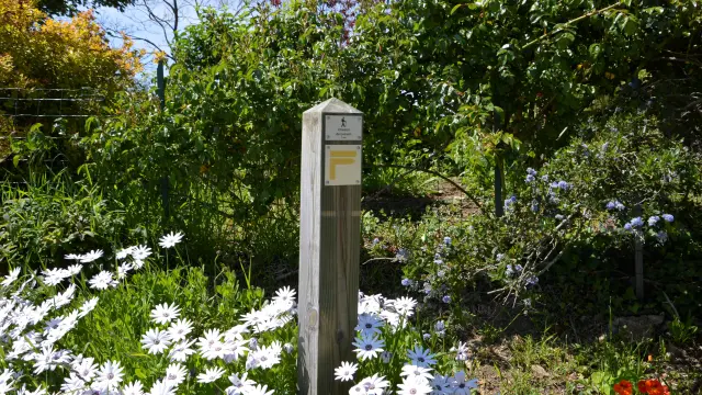 Chemin de Lesven - Gourlizon