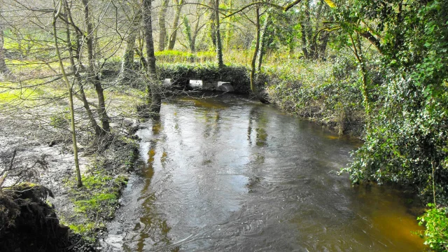 Les rives du Goyen - Guiler-sur-Goyen