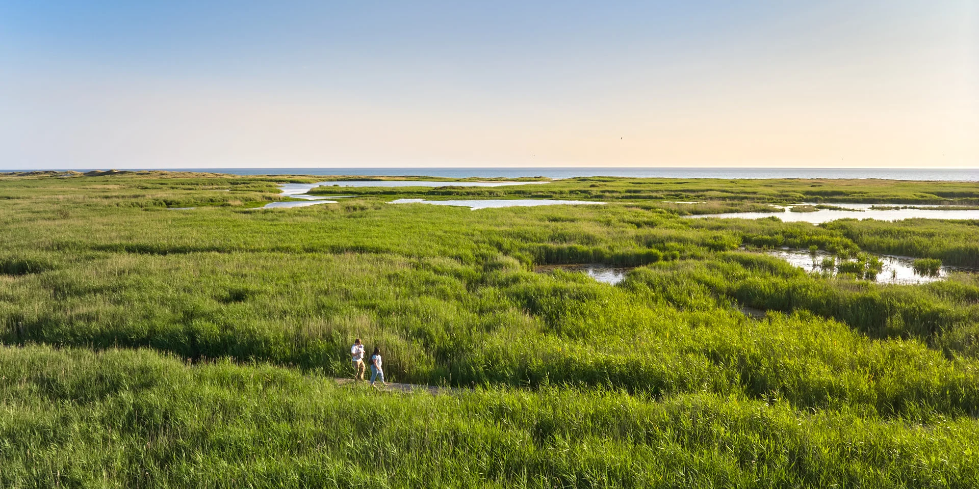 Etang de Trunvel - Tréogat