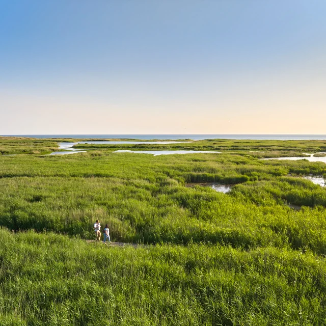 Etang de Trunvel - Tréogat