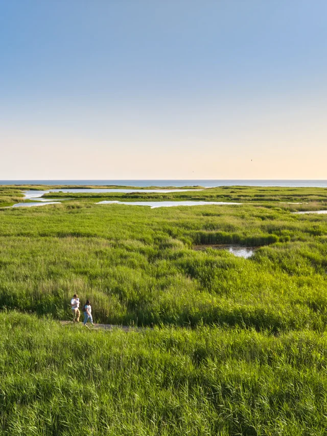 Etang de Trunvel - Tréogat