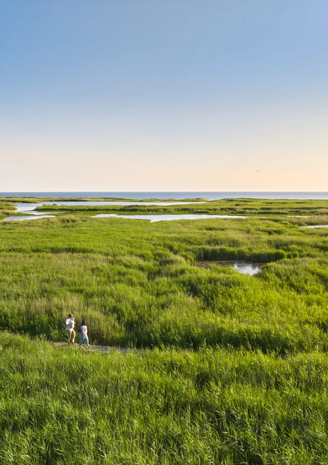 Etang de Trunvel - Tréogat
