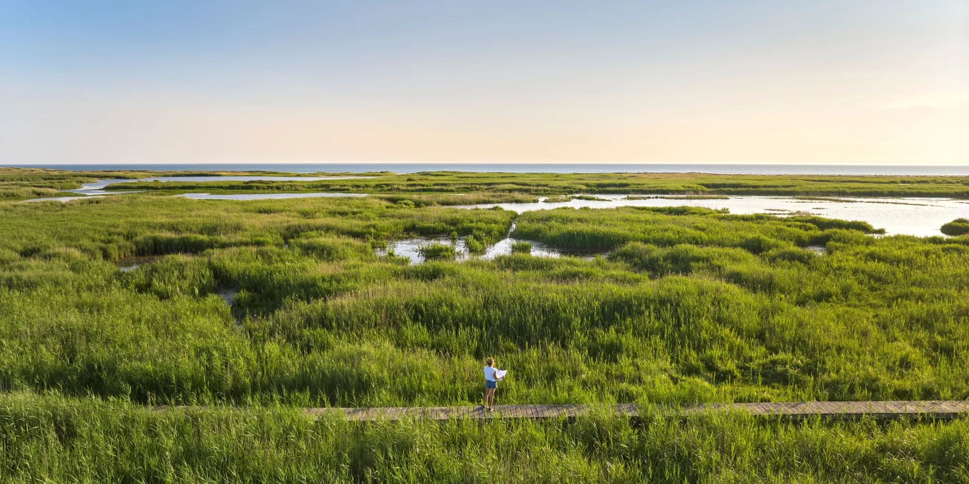 Etang de Trunvel - Tréogat