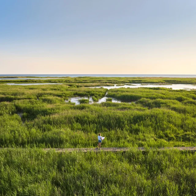 Etang de Trunvel - Tréogat