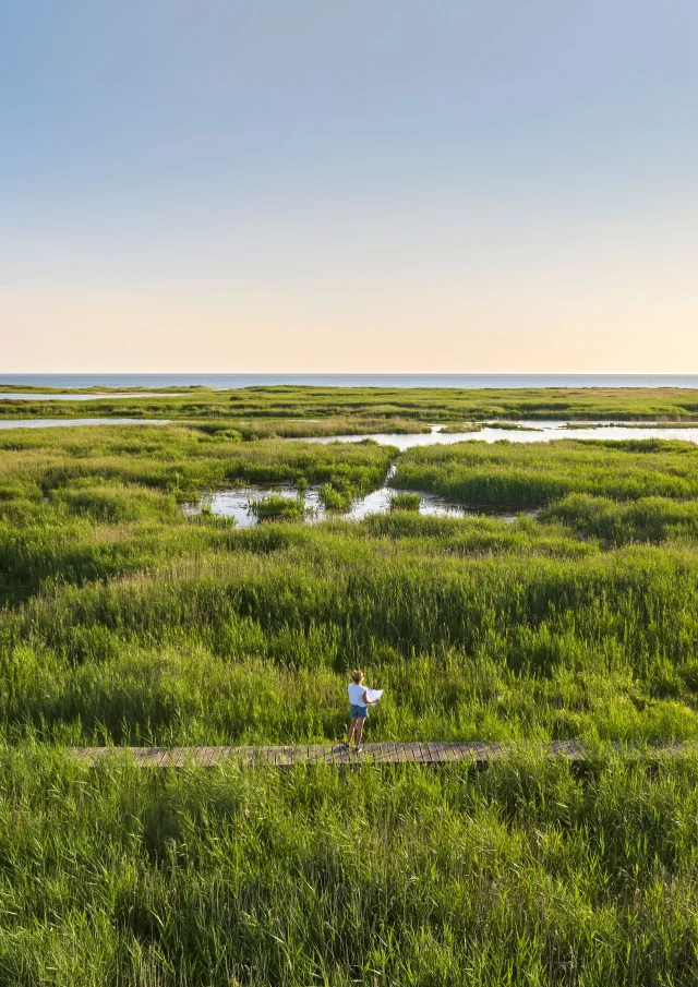 Vijver van Trunvel - Tréogat