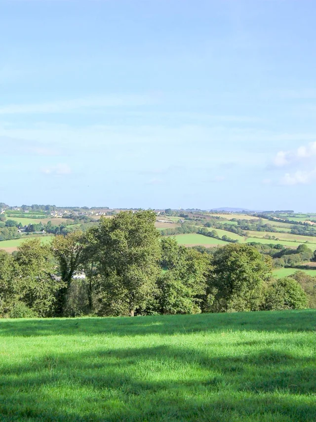 Campagne de Gourlizon