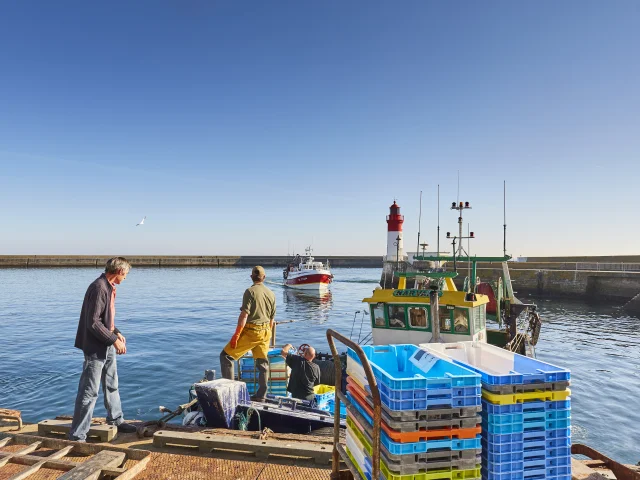 Arrivée des bateaux dans le port du Guilvinec