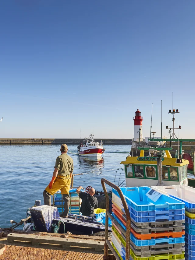 Arrivée des bateaux dans le port du Guilvinec