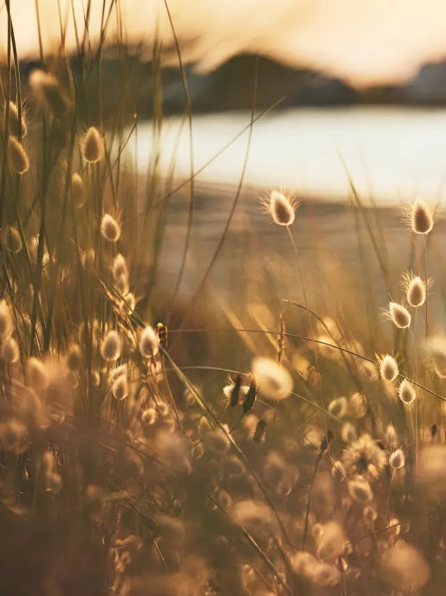 Naturaleza en Bigouden