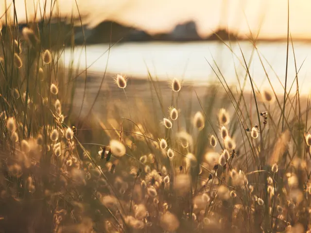 Nature en Pays bigouden