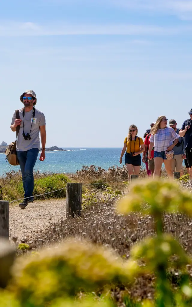 Entdeckung von Fauna und Flora - La Torche - Plomeur - Steven Helias