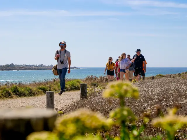 De flora en fauna ontdekken - La Torche - Plomeur - Steven Helias