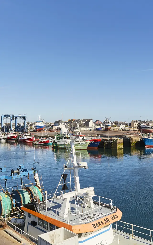 Fischereihafen von Guilvinec