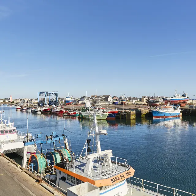 Guilvinec fishing port
