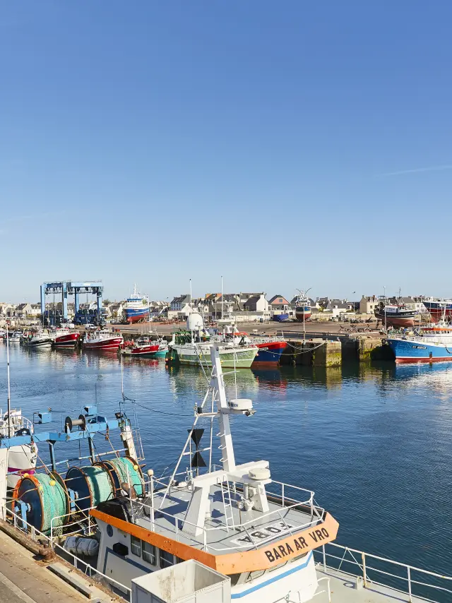 Guilvinec fishing port