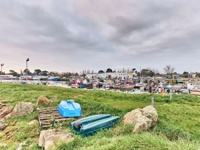 Fishing port - Loctudy