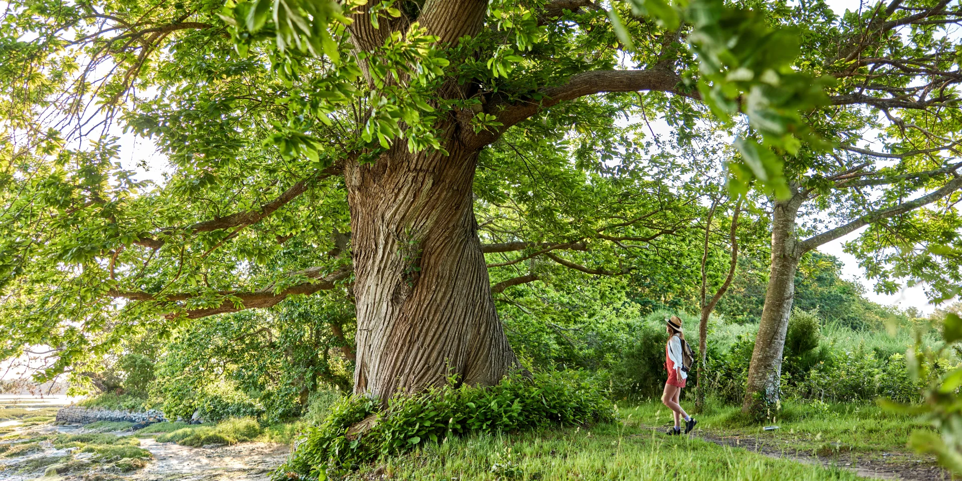 Randonnée le long de la rivière - Pont-L'Abbé