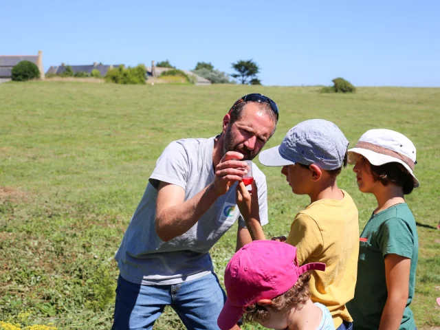 Balade nature de Steven - Maison de la Baie d'Audierne - Tréguennec