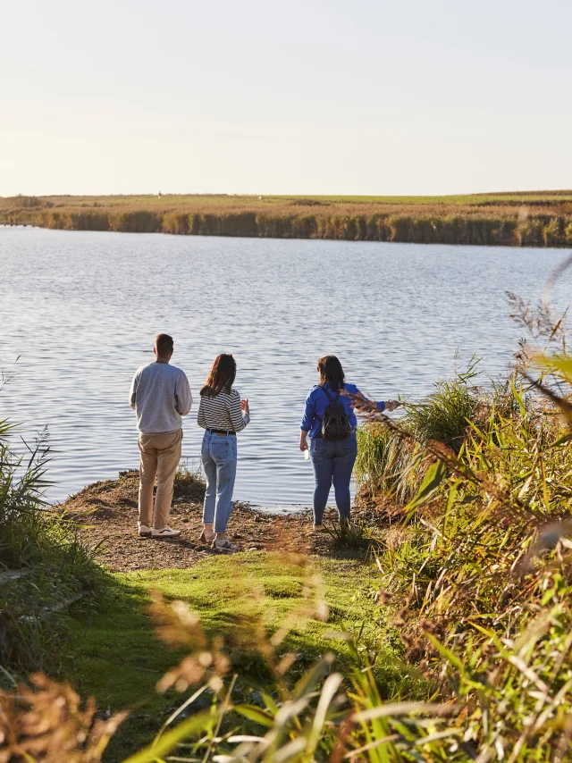 rando à Tréogat à l'étang de Trunvel