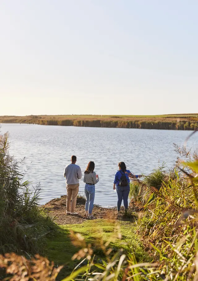 rando à Tréogat à l'étang de Trunvel