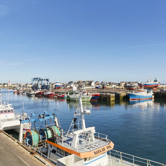 Port de pêche du Guilvinec