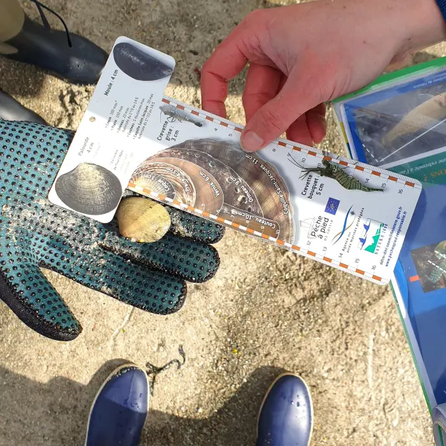 Angeln mit Valerie Dufour - Kérity - Penmarc'h