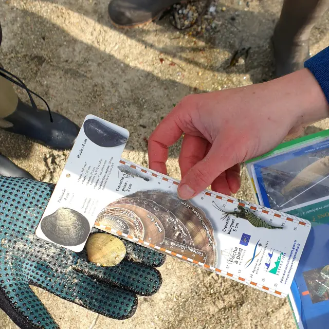 Fishing with Valerie Dufour - Kérity - Penmarc'h