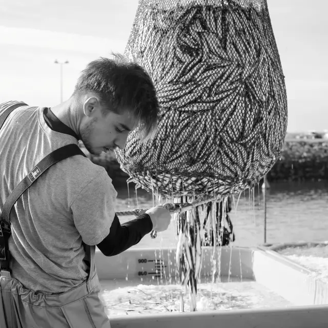 Port de Saint-Guénolé