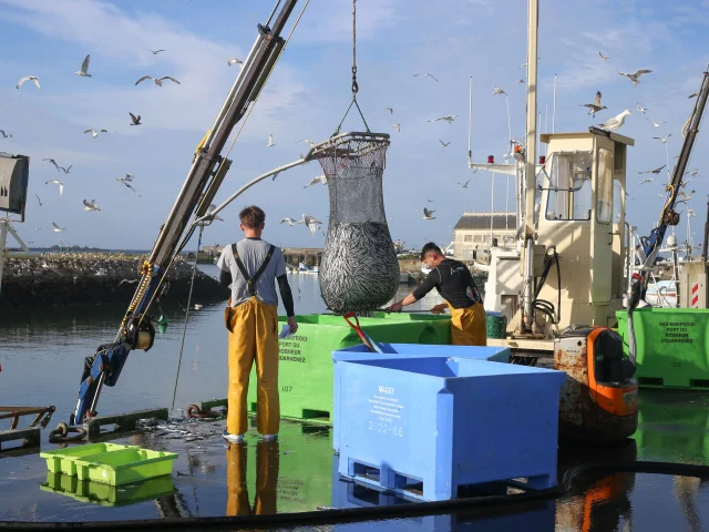 Port de pêche - Saint-Guénolé