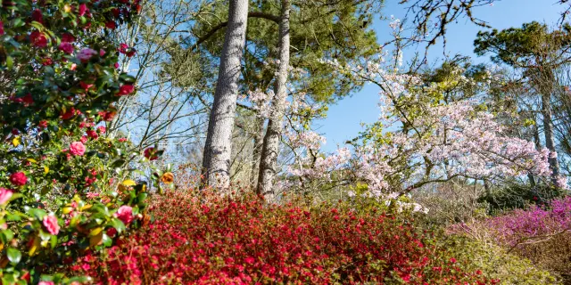 Parque Botánico Combrit Cornouaille