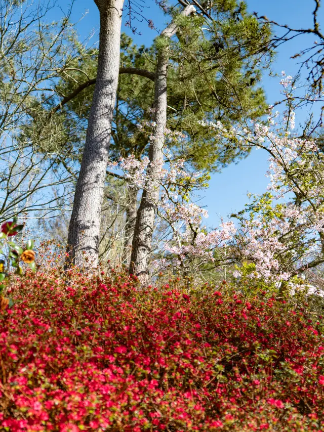 Combrit Parc Botanique Cornouaille