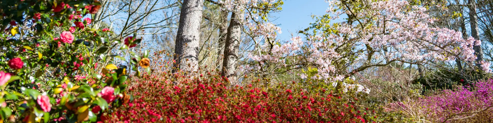 Botanisch park Combrit Cornouaille